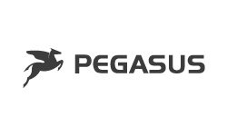 Hersteller: Pegasus