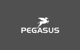 Pegasus E-Bikes, Fahrräder und Kinderfahrräder